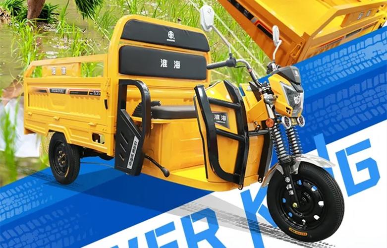 新发布3款电动三轮车，动力与载重能力出色，你更看好谁？